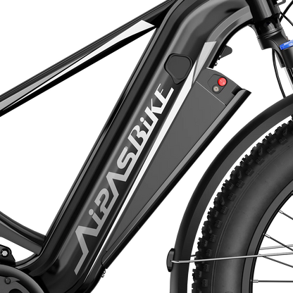 M2 Pro Xterrain Ebike