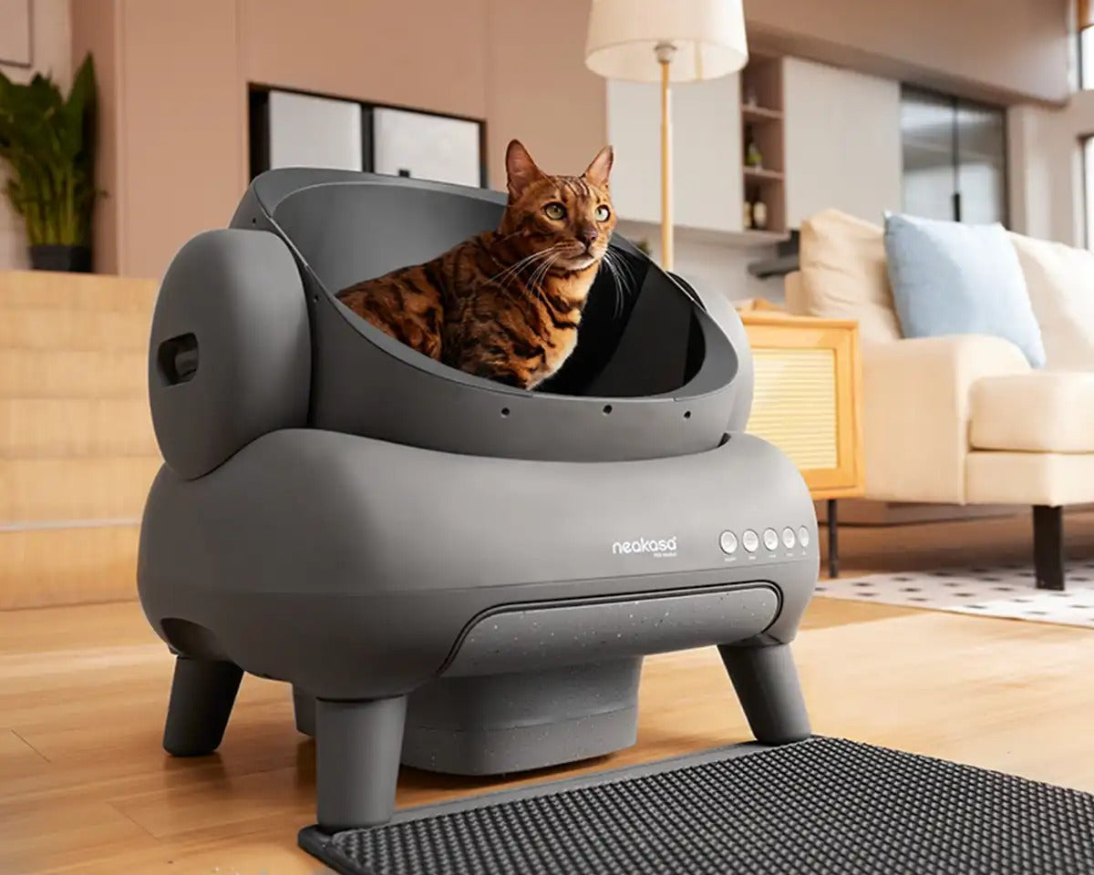 Neakasa M1 Open Top Self-Cleaning Cat Litter Box